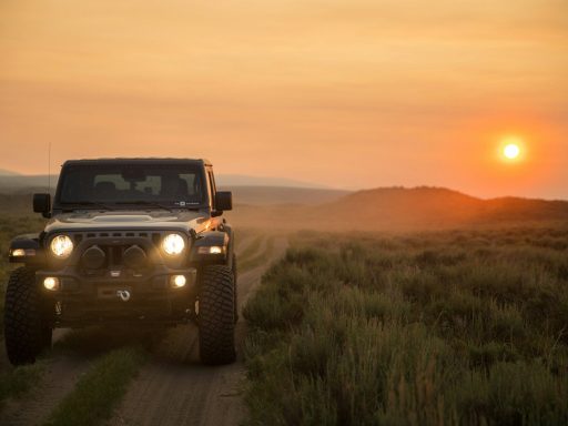 black jeep wrangler on green grass field during sunset